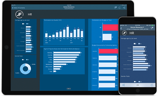 SAP workforce analytics and planning software - data visualisation